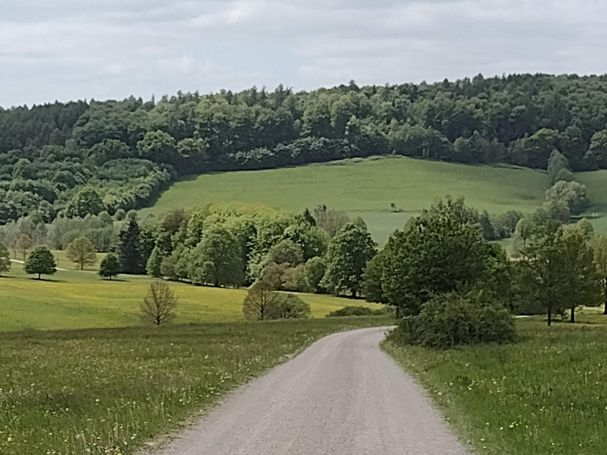 Апартаменты Olifant In Osterode Osterode am Harz Экстерьер фото